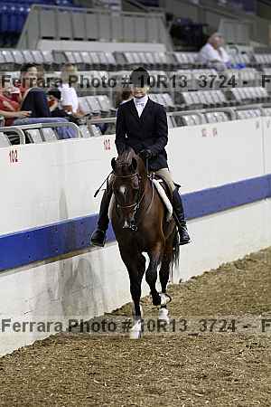 Proof Number 10r13_3724