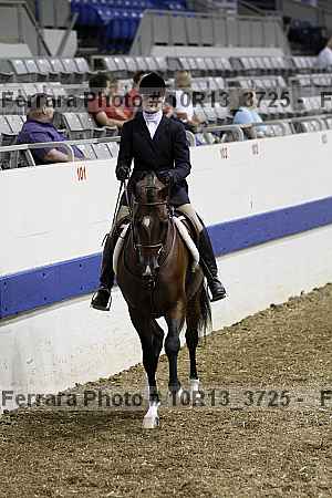 Proof Number 10r13_3725