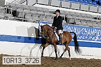 10r13_3726 thumbnail