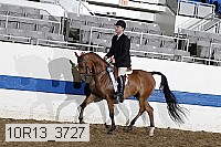 10r13_3727 thumbnail