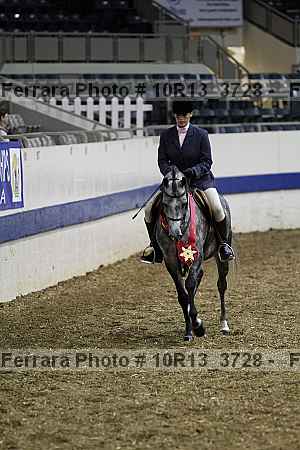 Proof Number 10r13_3728