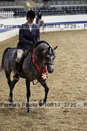 Proof Number 10r13_3729