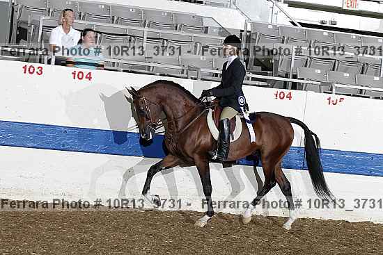 Proof Number 10r13_3731