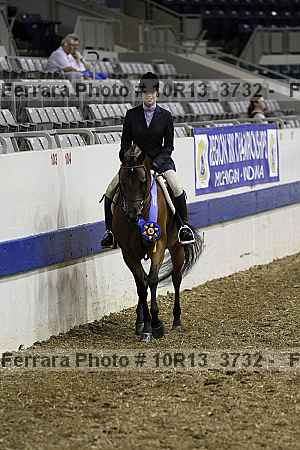 Proof Number 10r13_3732