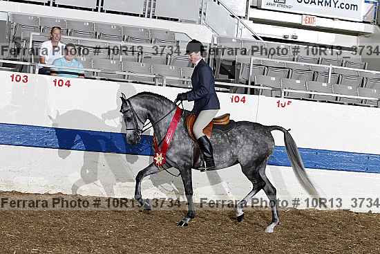 Proof Number 10r13_3734