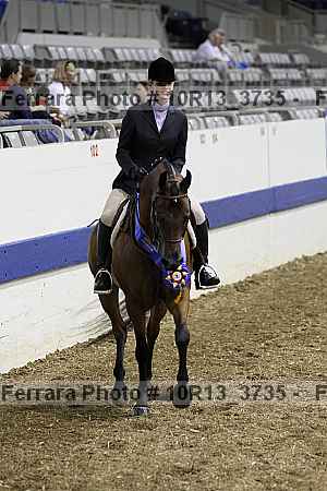 Proof Number 10r13_3735