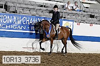 10r13_3736 thumbnail