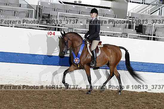 Proof Number 10r13_3737
