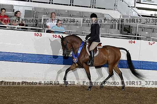 Proof Number 10r13_3738