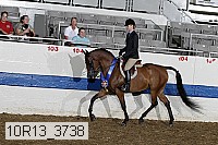 10r13_3738 thumbnail