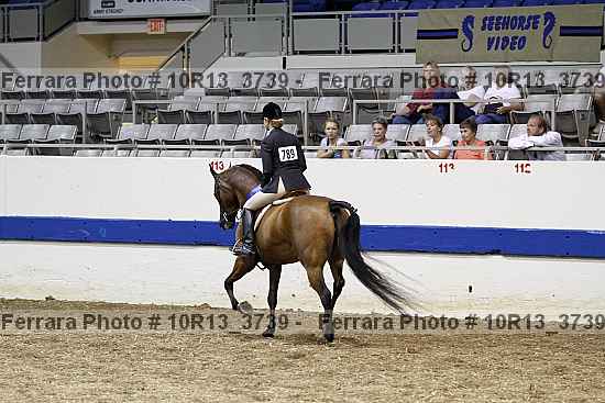 Proof Number 10r13_3739