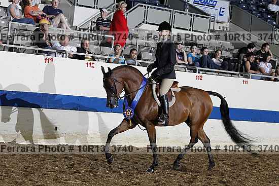 Proof Number 10r13_3740