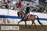 10r13_3740 thumbnail