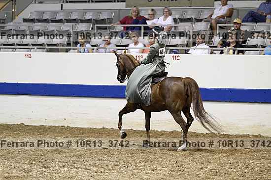 Proof Number 10r13_3742