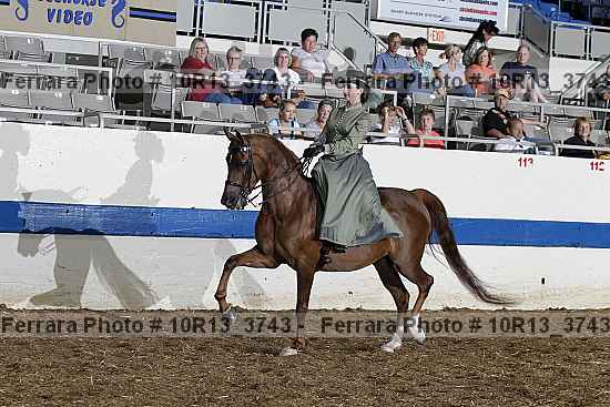 Proof Number 10r13_3743