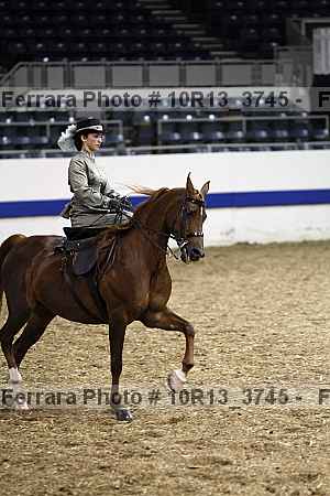 Proof Number 10r13_3745