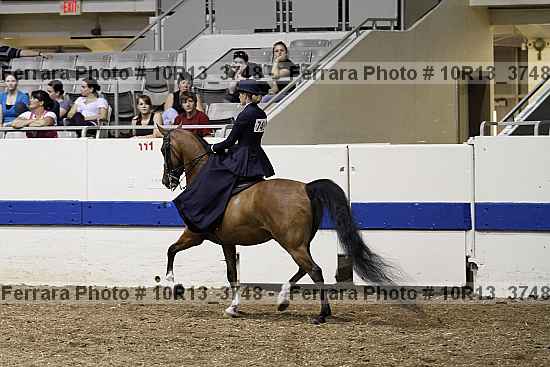 Proof Number 10r13_3748