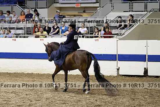 Proof Number 10r13_3751