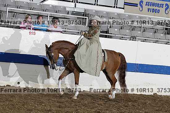 Proof Number 10r13_3753