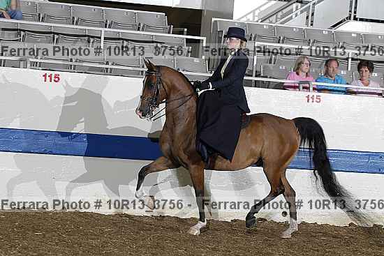 Proof Number 10r13_3756