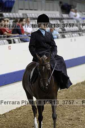 Proof Number 10r13_3757