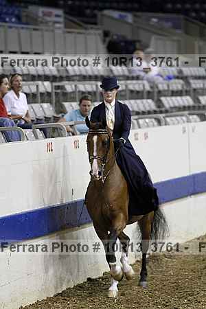 Proof Number 10r13_3761
