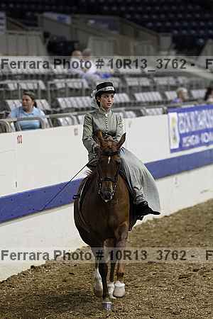 Proof Number 10r13_3762