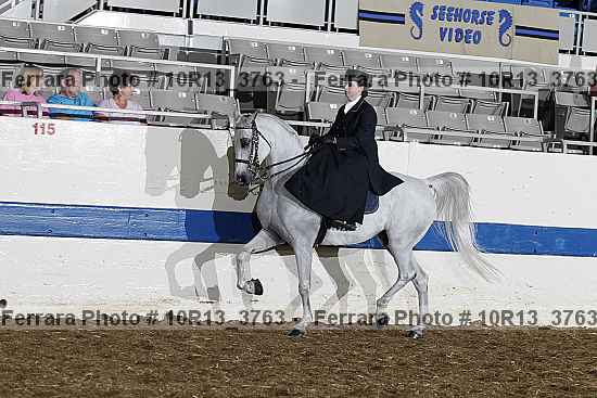 Proof Number 10r13_3763