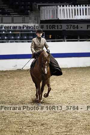 Proof Number 10r13_3764