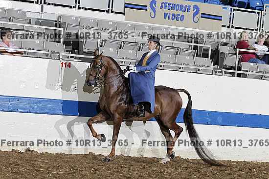 Proof Number 10r13_3765
