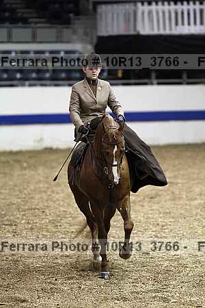 Proof Number 10r13_3766