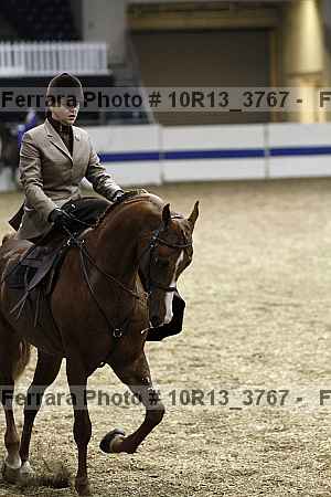 Proof Number 10r13_3767