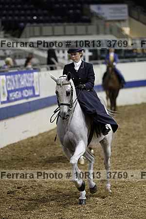 Proof Number 10r13_3769