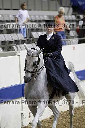 Proof Number 10r13_3770