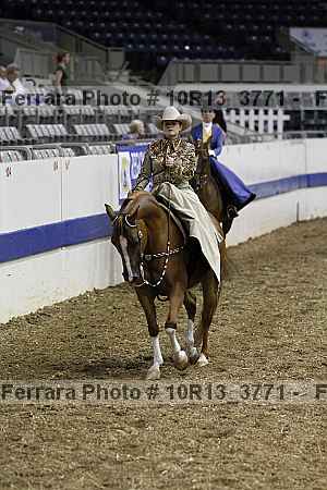Proof Number 10r13_3771