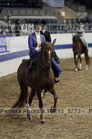 Proof Number 10r13_3773