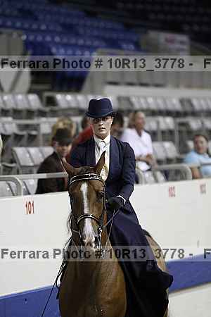 Proof Number 10r13_3778