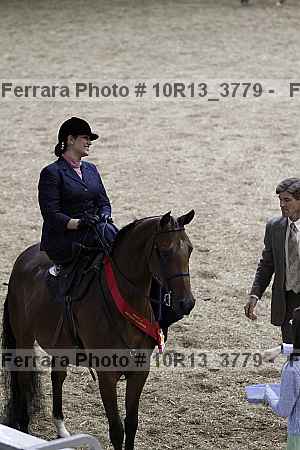 Proof Number 10r13_3779