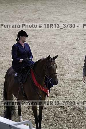 Proof Number 10r13_3780