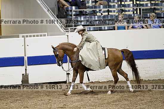Proof Number 10r13_3783