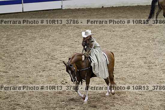 Proof Number 10r13_3786