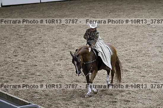 Proof Number 10r13_3787