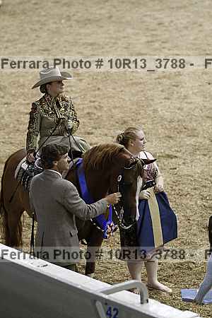 Proof Number 10r13_3788