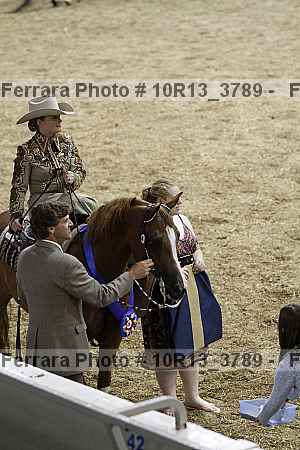 Proof Number 10r13_3789