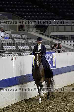 Proof Number 10r13_3791