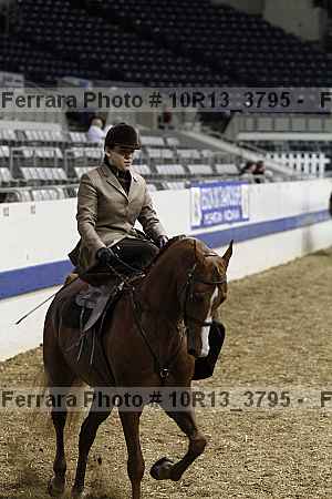 Proof Number 10r13_3795
