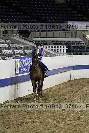 Proof Number 10r13_3796