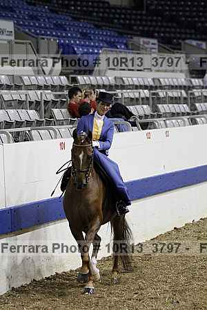 Proof Number 10r13_3797