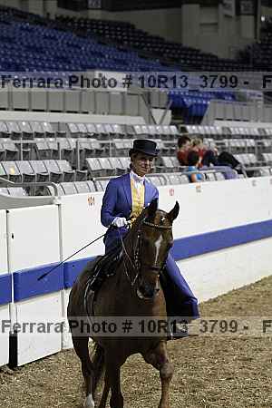 Proof Number 10r13_3799