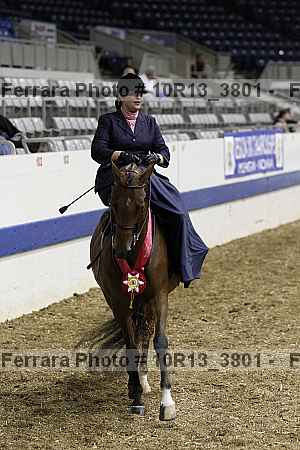 Proof Number 10r13_3801